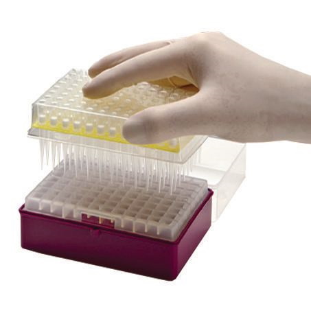 Końcówki do pipet VWR Next Generation refill, filtracyjne