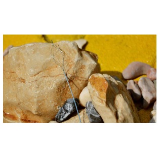 Koszyczki do endoskopów giętkich Optimed koszyki