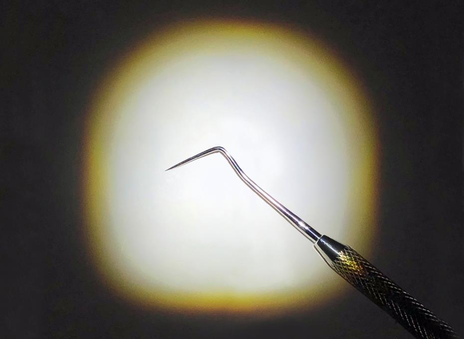 Lampki do lup zabiegowych ExamVision Essential Nano