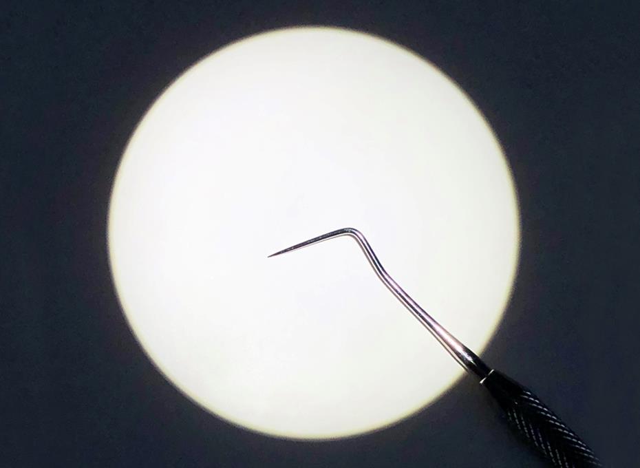 Lampki do lup zabiegowych ExamVision Focus Bright/Focus True