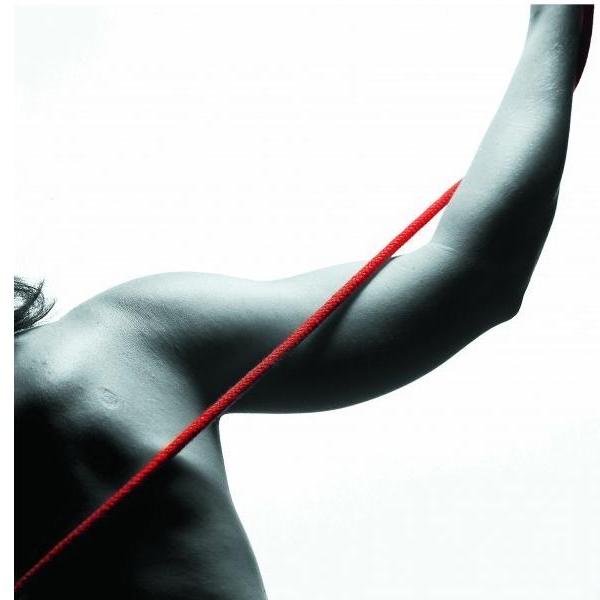 Linki do terapii w podwieszeniu Redcor Komplet linek do Terapii Master zwykłych