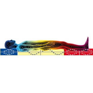 Materace przeciwodleżynowe piankowe, visco, żelowe Revita Tunel fala