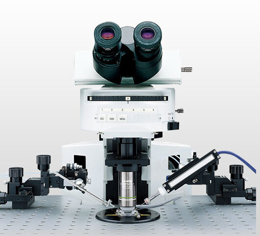 Mikroskopy biologiczne Olympus BX51WI