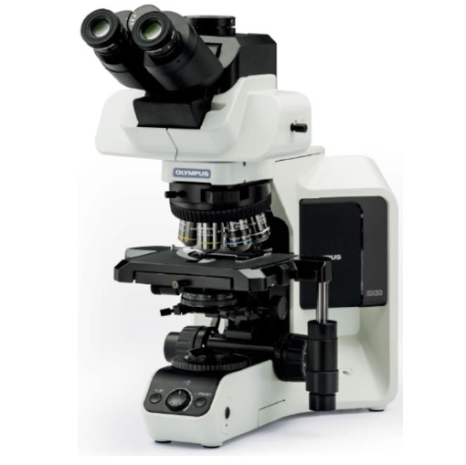 Mikroskopy biologiczne Olympus BX53