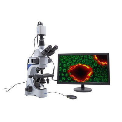 Mikroskopy biologiczne VWR VisiScope 384