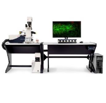 Mikroskopy konfokalne LEICA DIVE