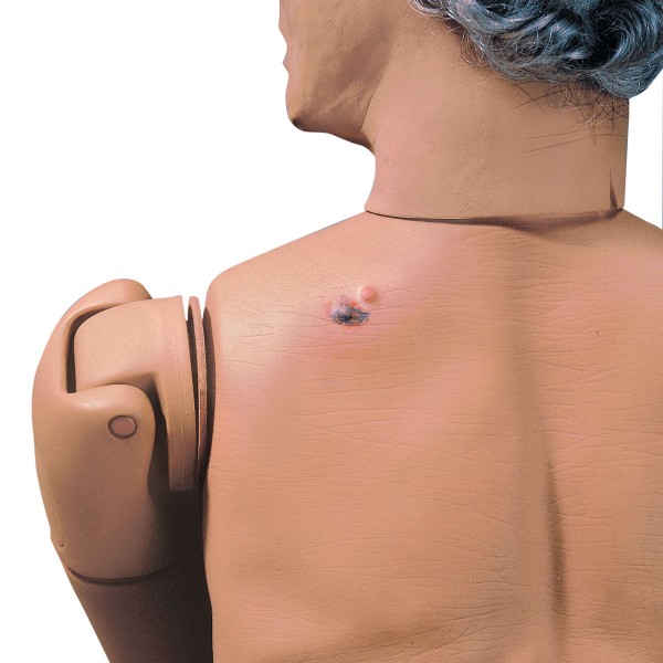 Modele / Manekiny pielęgnacyjne - dorośli 3B Scientific KERI