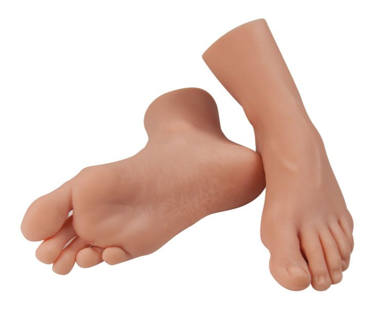 Modele / Manekiny pielęgnacyjne - dorośli 3B Scientific M250