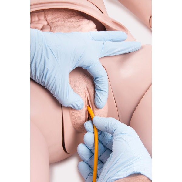 Modele / Manekiny pielęgnacyjne - dorośli 3B Scientific P10