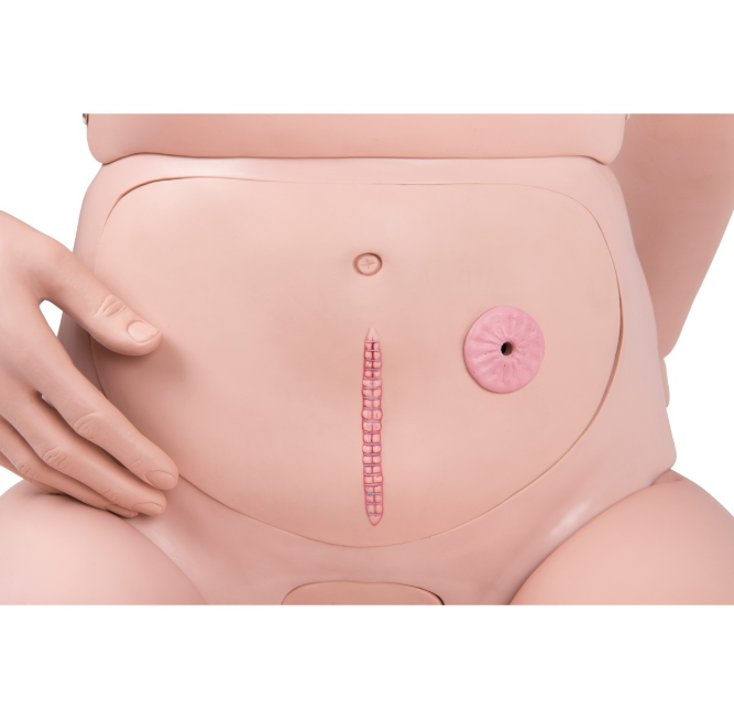 Modele / Manekiny pielęgnacyjne - dorośli 3B Scientific P10/1