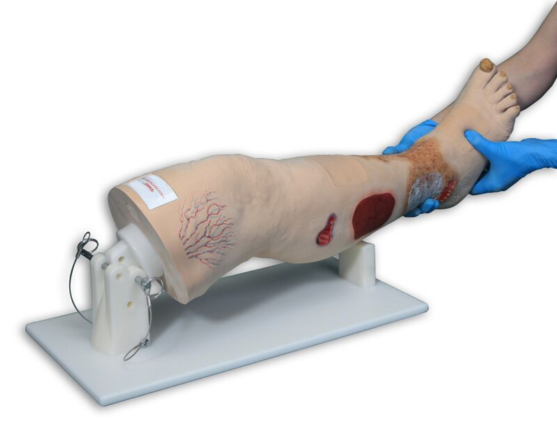 Modele / Manekiny pielęgnacyjne - dorośli 3B Scientific R11020