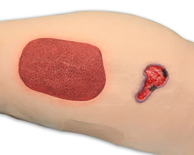 Modele / Manekiny pielęgnacyjne - dorośli 3B Scientific R11020
