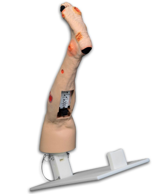 Modele / Manekiny pielęgnacyjne - dorośli 3B Scientific R11021