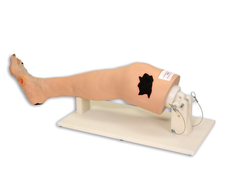 Modele / Manekiny pielęgnacyjne - dorośli 3B Scientific R11021