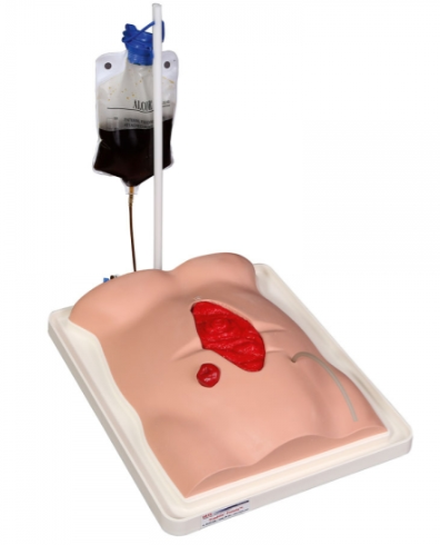 Modele / Manekiny pielęgnacyjne - dorośli 3B Scientific R11050