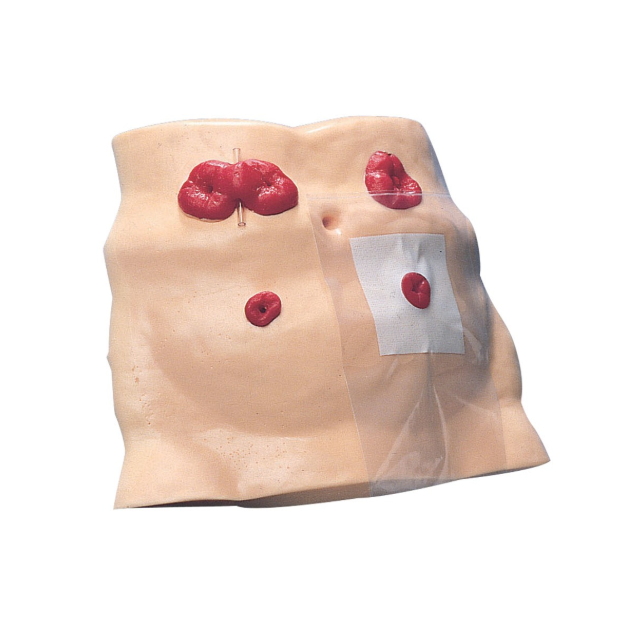 Modele / Manekiny pielęgnacyjne - dorośli 3B Scientific W43027