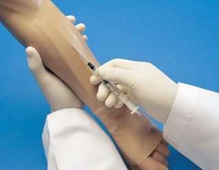 Modele / Manekiny pielęgnacyjne - dorośli 3B Scientific W45001