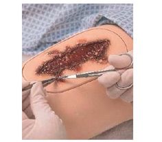 Modele / Manekiny pielęgnacyjne - dorośli Laerdal Nursing Kelly