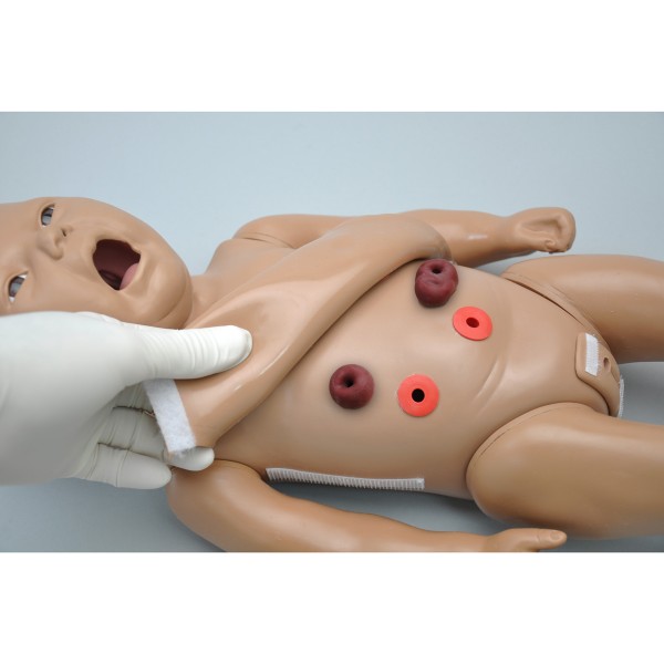 Modele / Manekiny pielęgnacyjne - dzieci i niemowlęta 3B Scientific W45055