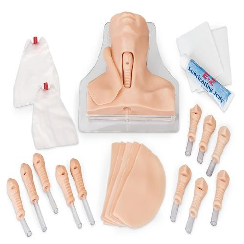 Modele zabiegowe 3B Scientific 1010255