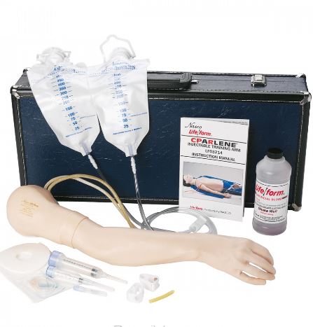 Modele zabiegowe 3B Scientific 1017827 [W44075IV]