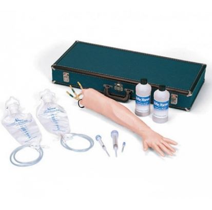 Modele zabiegowe 3B Scientific 1020185 (W44767)