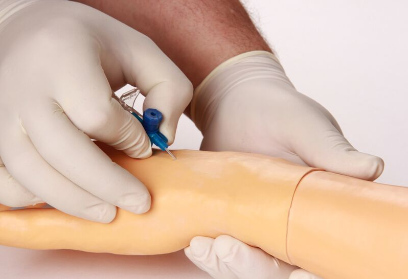 Modele zabiegowe 3B Scientific 7010