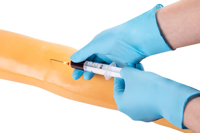 Modele zabiegowe 3B Scientific 7010