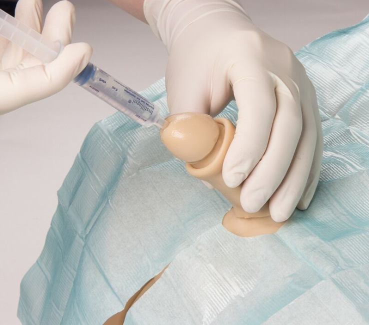 Modele zabiegowe 3B Scientific 7040