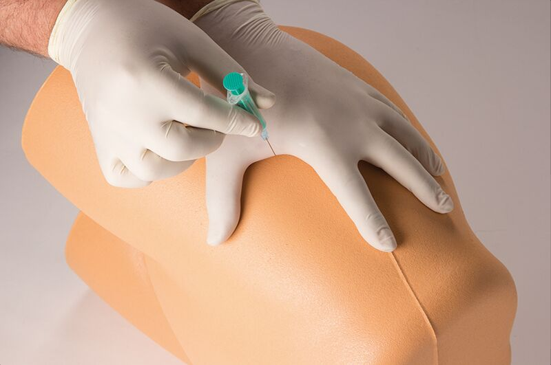 Modele zabiegowe 3B Scientific 7090