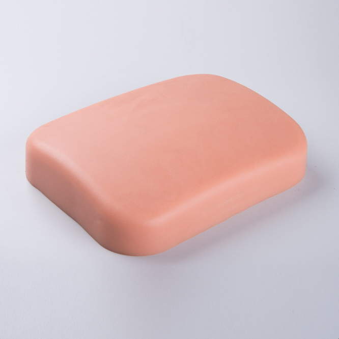 Modele zabiegowe 3B Scientific P121