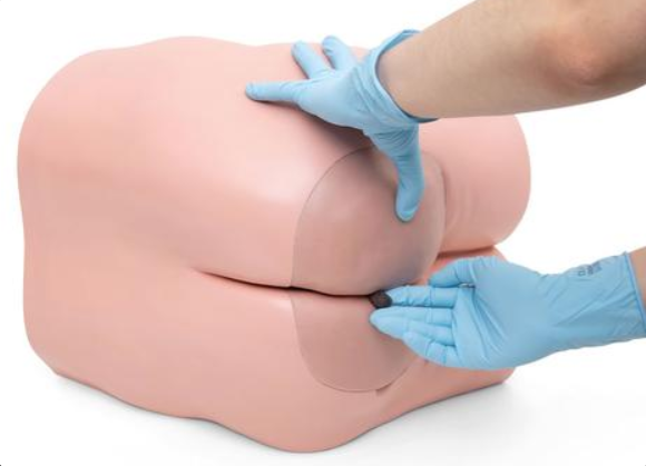 Modele zabiegowe 3B Scientific P16