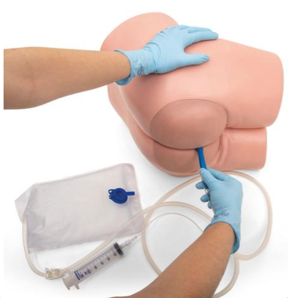 Modele zabiegowe 3B Scientific P16