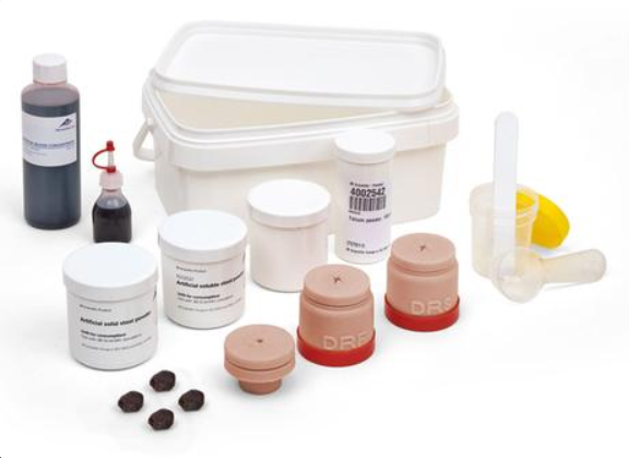 Modele zabiegowe 3B Scientific P16