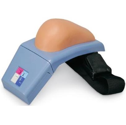 Modele zabiegowe 3B Scientific P55/1