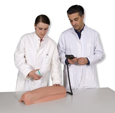 Modele zabiegowe 3B Scientific P56