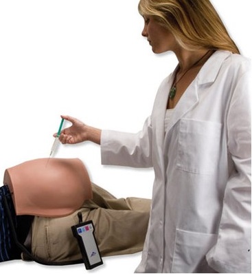 Modele zabiegowe 3B Scientific P57