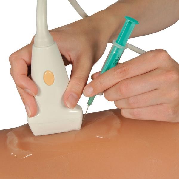 Modele zabiegowe 3B Scientific P60