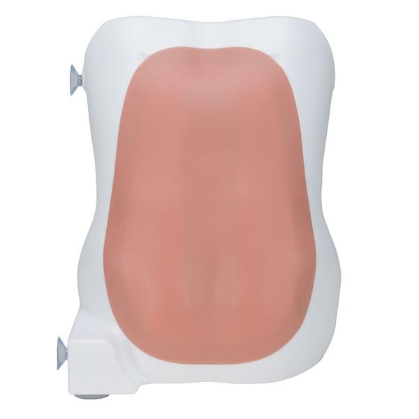 Modele zabiegowe 3B Scientific P61