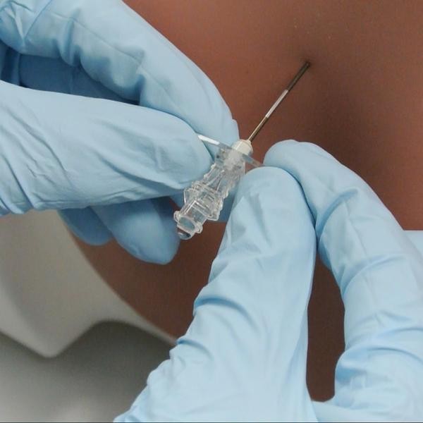 Modele zabiegowe 3B Scientific P61