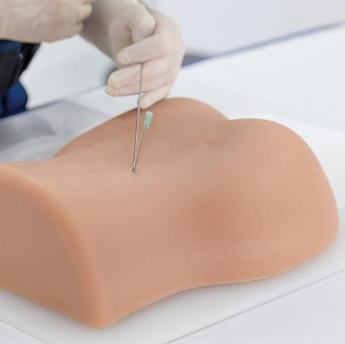 Modele zabiegowe 3B Scientific P65