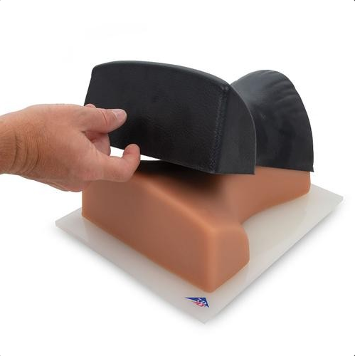 Modele zabiegowe 3B Scientific P67