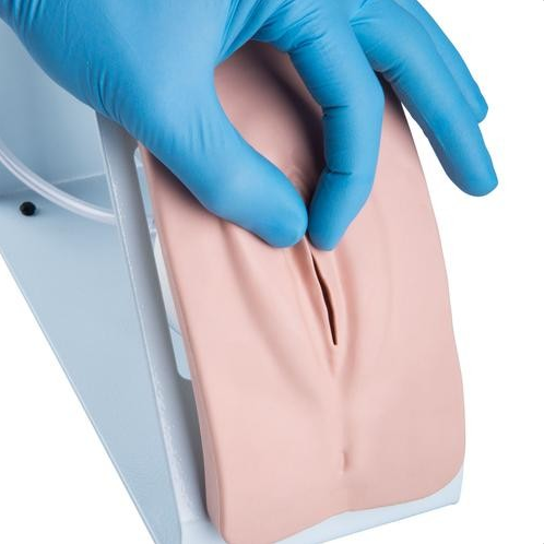 Modele zabiegowe 3B Scientific P93B-S