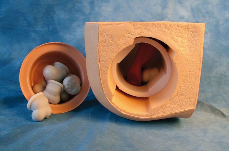 Modele zabiegowe 3B Scientific R10081