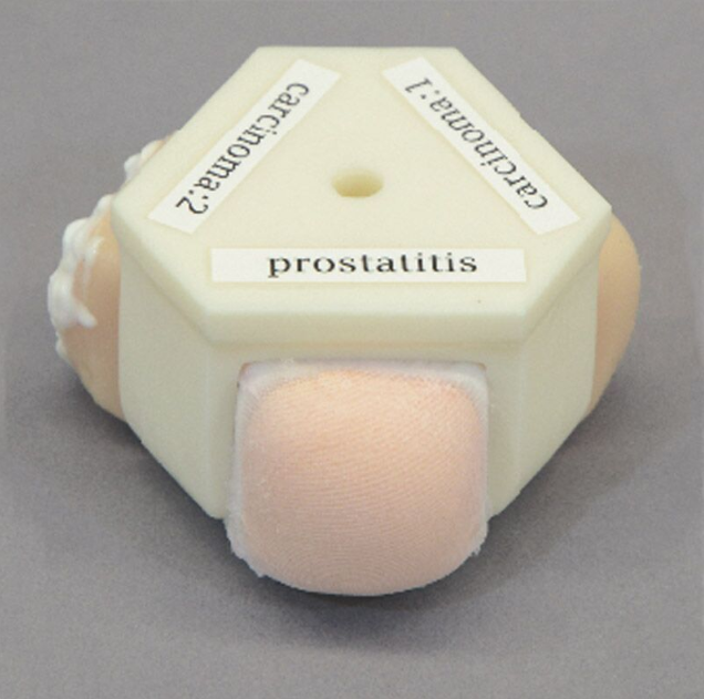 Modele zabiegowe 3B Scientific R16016