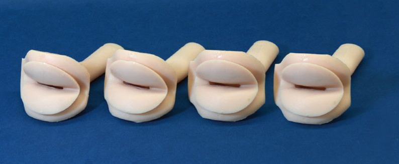 Modele zabiegowe 3B Scientific R16016