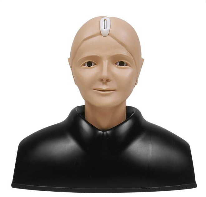 Modele zabiegowe 3B Scientific R16100