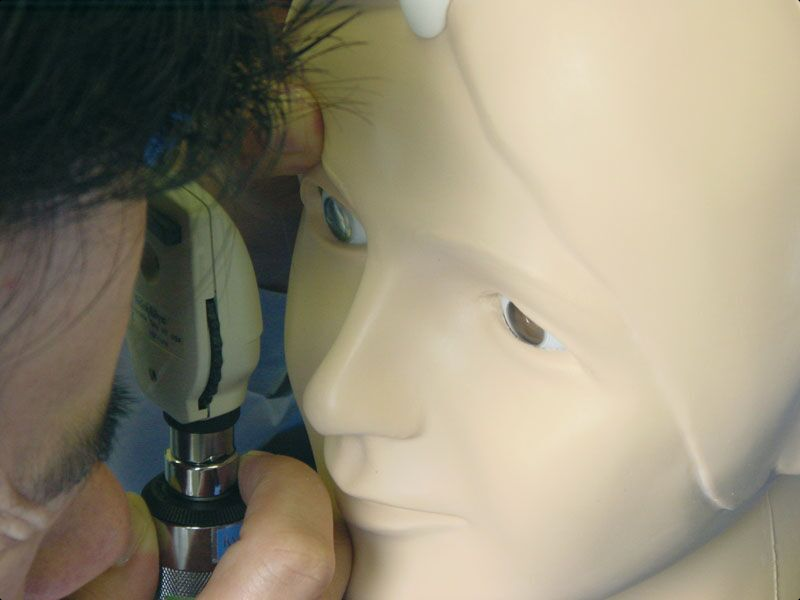 Modele zabiegowe 3B Scientific R16100