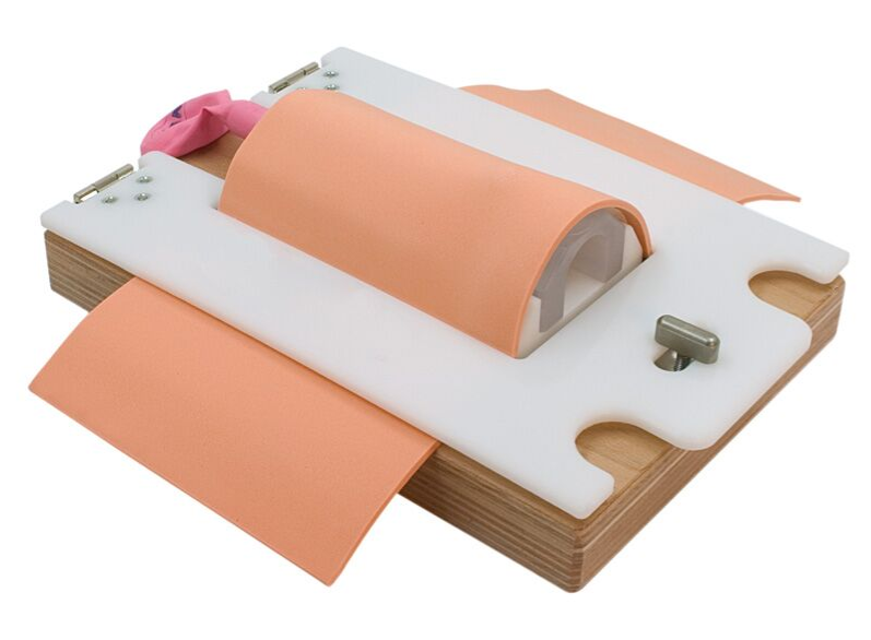 Modele zabiegowe 3B Scientific R67110