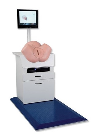 Modele zabiegowe 3B Scientific SIMone